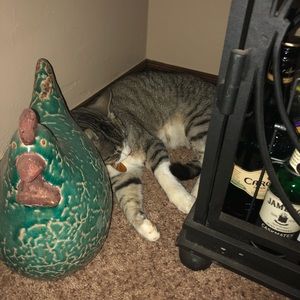 Meet your Posher, Kristie